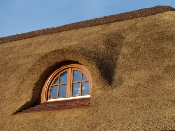 budynek-z-dachem-trzcinowym-103