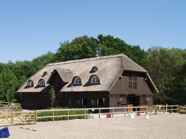 budynek-z-dachem-trzcinowym-16