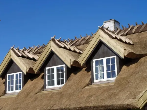 budynek-z-dachem-trzcinowym-21