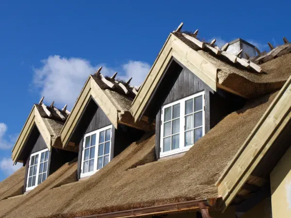 budynek-z-dachem-trzcinowym-26