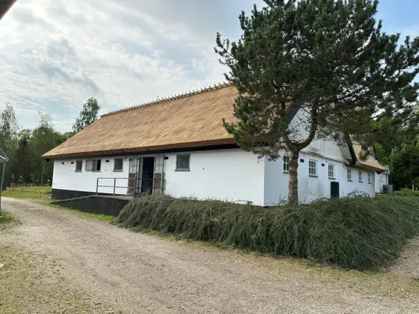 budynek-z-dachem-trzcinowym-57