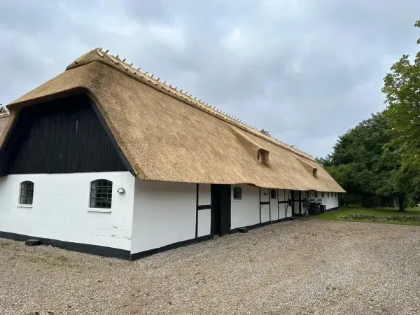 budynek-z-dachem-trzcinowym-64