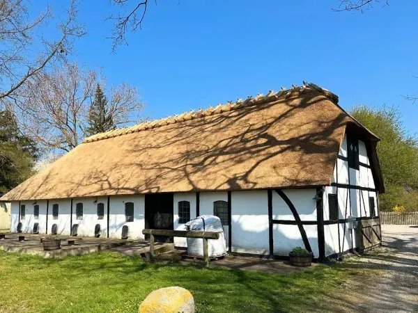 budynek-z-dachem-trzcinowym-84