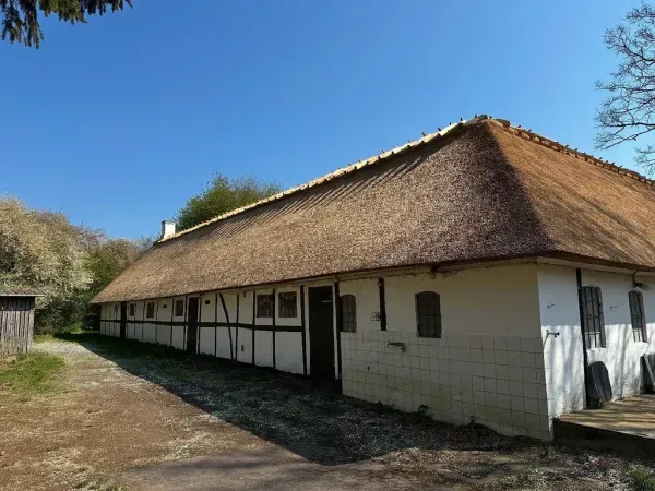 budynek-z-dachem-trzcinowym-85