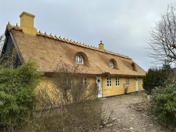 budynek-z-dachem-trzcinowym-88