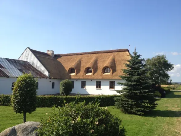 budynek-z-dachem-trzcinowym-99